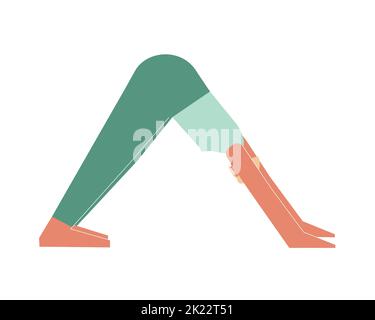 Illustrazione con isolamento vettoriale con carattere femmina piatto. Donna sportiva impara la postura Adho Mukha Svanasana durante la lezione di yoga. Esercizio di fitness - verso il basso Illustrazione Vettoriale