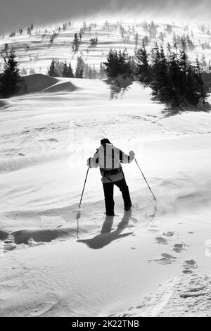 Silhouette bianca e nera dell'escursionista in montagne innevate d'inverno in giornate di sole ventose. Monte Hoverla, Carpazi Montagne, Ucraina. Foto Stock