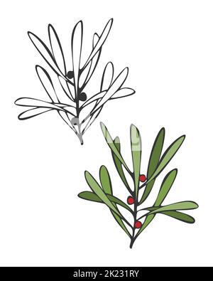Rametti di doodle con bacche. Mirtillo rosso. Contorno e colore elemento di design. Isolato, sfondo bianco. Illustrazione vettoriale Illustrazione Vettoriale