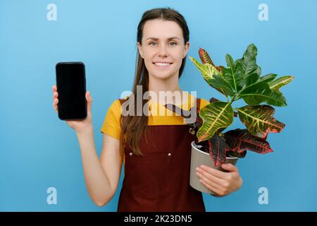 Bella giovane fiorista donna che tiene verde pianta in flowerpot e smartphone, sorridendo guardando la macchina fotografica, posa isolato su sfondo di colore blu w Foto Stock