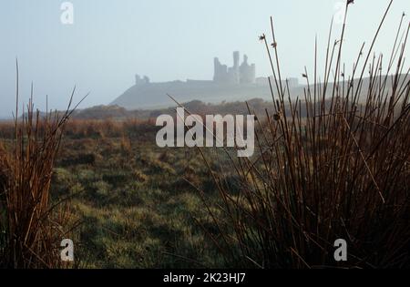 Misty mattina al Castello di Dunstanburgh, Craster, Northumberland, Inghilterra, Regno Unito Foto Stock