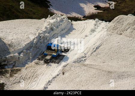 Vette innevate fotografate vicino Homer, Alaska. Homer è una città dell'Alaska di Stati Uniti d'America, situata nella Penisola del Kenai, nello stato federato del Jarsi. E' di 218 miglia (351 Foto Stock
