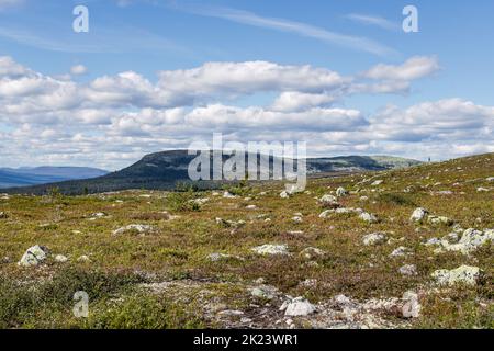 Stadjan, Svezia: Vetta montana nella riserva naturale di Stadjan Nipfjallet Foto Stock