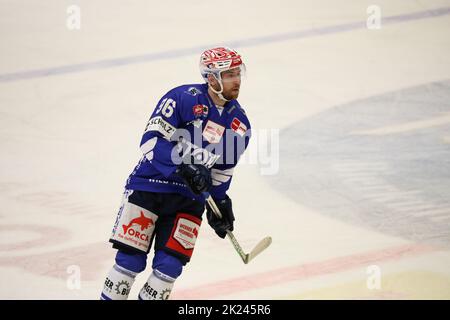 Tyson Spink (SERC Wild Wings) beim Spiel der DEL, 39. Sptg.: SERC Wild Wings vs Düsseldorfer EG (DEG) Foto Stock