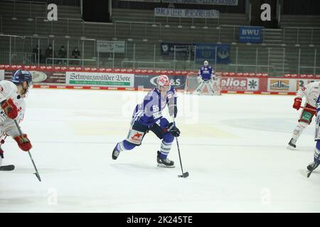 John Ramage (SERC Wild Wings) im Spiel der DEL, 39. Sptg.: SERC Wild Wings vs Düsseldorfer EG (DEG) Foto Stock