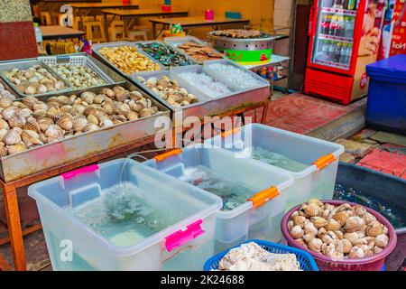 Bangkok Thailandia 22. Mai 2018 frutti di mare blu granchi vivi vongola ostriche e aragoste Thai mercato Street food a China Town Bangkok Thailandia. Foto Stock