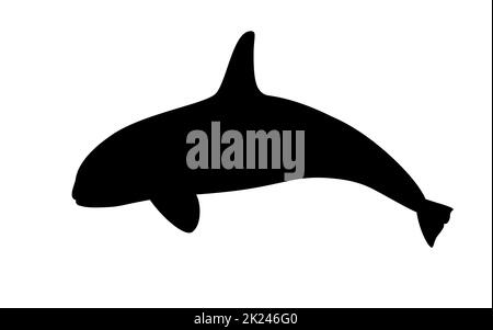 Balena killer. Illustrazione vettoriale di una silhouette nera di una balena assassino, orca isolata su bianco. Icona del logo, vista laterale. Illustrazione Vettoriale
