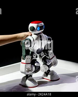 Il robot modello nelle mani di un bambino alla mostra Foto Stock