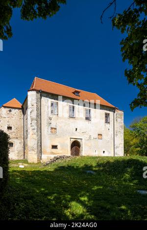 Fortezza di Cuknstejn vicino a nove hrady, Boemia meridionale, Repubblica Ceca Foto Stock