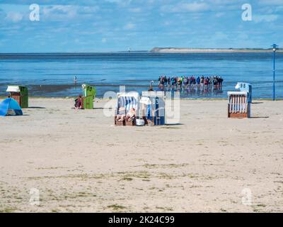 Spiaggia soleggiata con sedie a sdraio sulla spiaggia di sabbia in primo piano e un gruppo guidato all'inizio di un'escursione mudflat e una vista sull'isola di Foto Stock