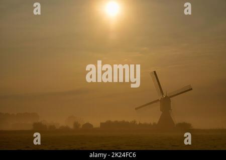 Mulino a vento il Wingerdse Molen vicino al villaggio olandese WIjngaardem in una bella mattinata di nebbia Foto Stock