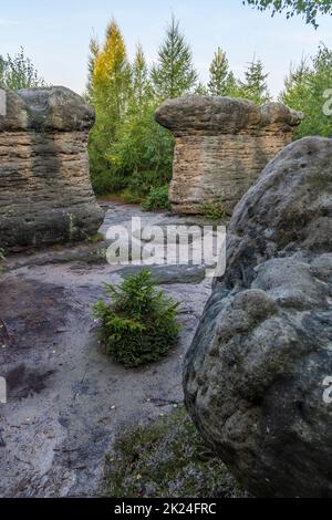 Funghi di pietra in una riserva naturale Broumovske steny, Boemia orientale, Repubblica Ceca Foto Stock