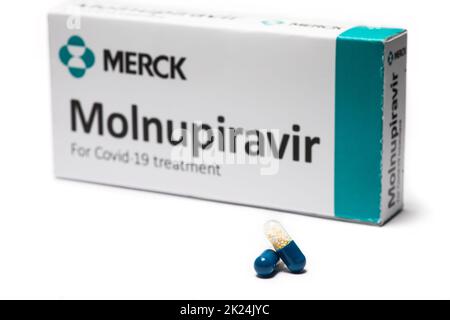 Bucarest, Romania - 2 febbraio 2022: Immagine illustrativa del concetto editoriale della pillola antivirale orale Molnupiravir sviluppato da Merck. Virus corona Foto Stock