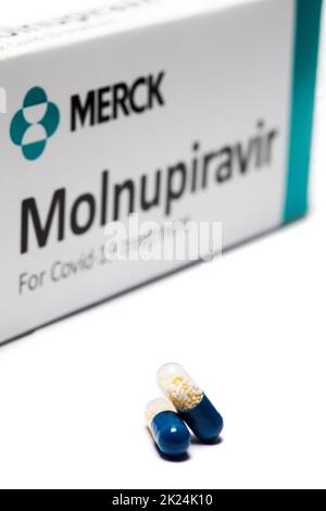 Bucarest, Romania - 2 febbraio 2022: Immagine illustrativa del concetto editoriale della pillola antivirale orale Molnupiravir sviluppato da Merck. Virus corona Foto Stock