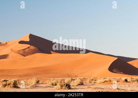Duenen in der Namib Wueste bis zum Horizont, Namibia, Afrika. Foto Stock
