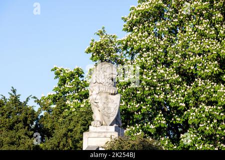 Lublino, Polonia - 23 maggio 2022: Statua in pietra del leone sulla Piazza del Castello di Lublino. La figura di un leone è stata ricreata secondo il Foto Stock