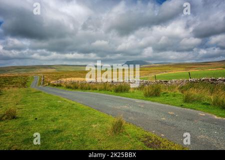 Country Lane sopra Malham Moor guardando verso il monte Pen-y-ghent, Yorkshire Dales National Park, North Yorkshire, Inghilterra, Regno Unito Foto Stock