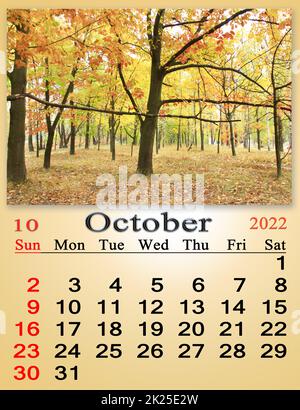 ottobre 2022 con immagine di foglie gialle su acero nella foresta. calendario Foto Stock