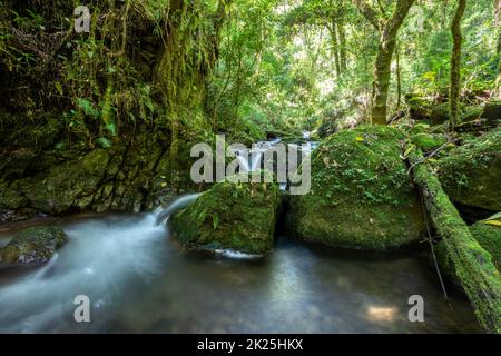 Piccolo fiume selvaggio di montagna Rio Savegre. San Gerardo de Dota, Costa Rica. Foto Stock