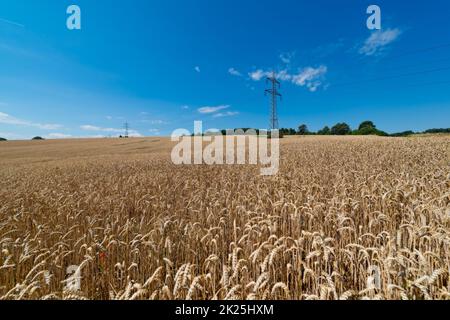 Linea di alimentazione su campo granella Foto Stock