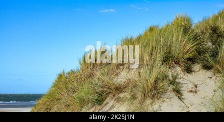 Dune di sabbia con erba spiaggia e cielo Foto Stock