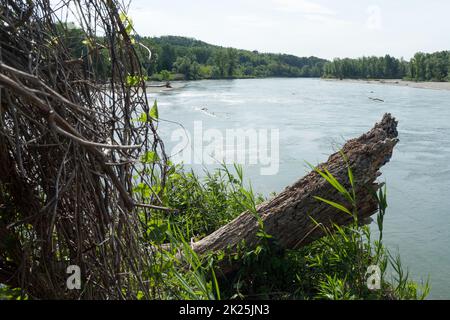 Un bellissimo scatto di un lago riflettente in un paesaggio verde su uno sfondo blu cielo Foto Stock