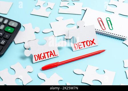 Scrittura a mano del testo Digital Detox. Vetrina di business senza dispositivi elettronici Scollega per riconnettere Unplugged costruire un puzzle senza finitura White Jigsaw Pattern con mancante ultimo pezzo Foto Stock