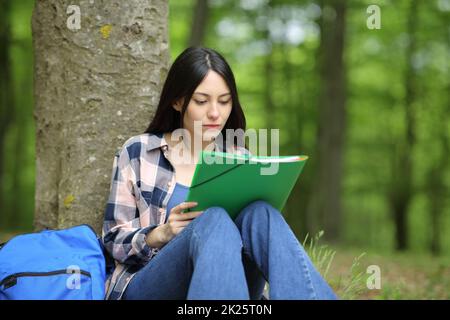 Donna asiatica concentrata che studia in un parco Foto Stock