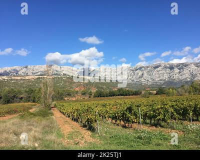 Famosa montagne sainte Victoire a chateauneuf le Rouge Foto Stock