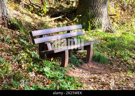 Una panchina del parco in autunno luce lungo un sentiero escursionistico. Foto Stock