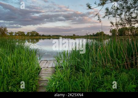 Ponte in legno nelle canne e il cielo serale Foto Stock