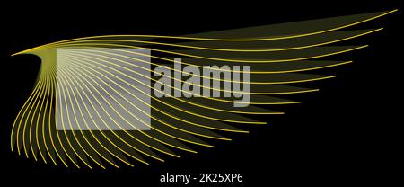 Ala di uccello di colore oro su un modello vettoriale di sfondo nero. Foto Stock