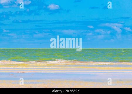 Isola naturale Holbox spiaggia di sabbia panorama turchese acqua onde Messico. Foto Stock