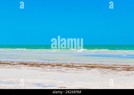 Isola naturale Holbox spiaggia di sabbia panorama turchese acqua onde Messico. Foto Stock