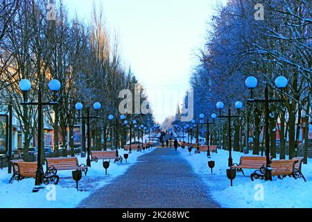 Bellissimo vicolo parco con panca e alberi in inverno giorno di sole Foto Stock