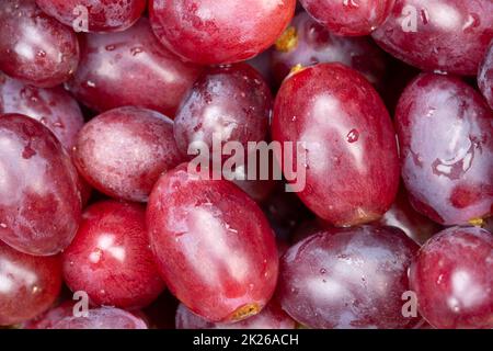 Uva rossa uva frutta frutta fondo dall'alto Foto Stock