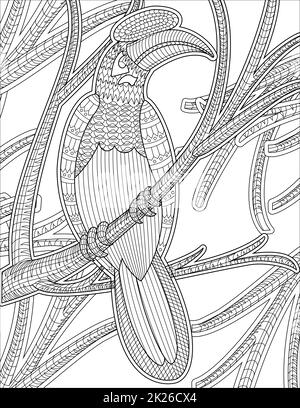 Macaw poggiato su un ramo di albero con piccole foglie disegno di linea incolore. Piccolo Toucan rimanere sulla pagina del libro di colorazione di Twig. Foto Stock