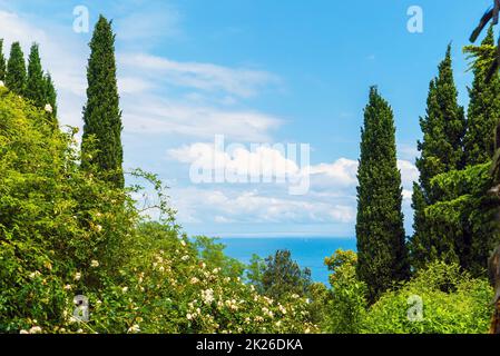 Nel parco del Palazzo Livadia. Crimea. Yalta. Foto Stock