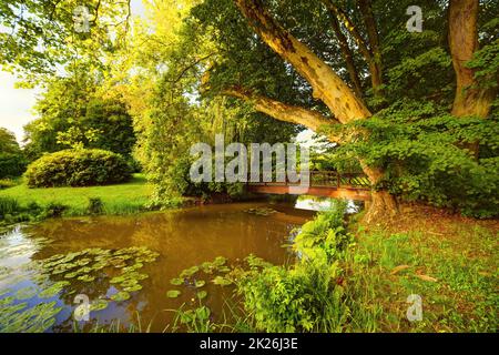 Bad Muskau - Parco Muskau, ponte di legno, platani e parco Foto Stock