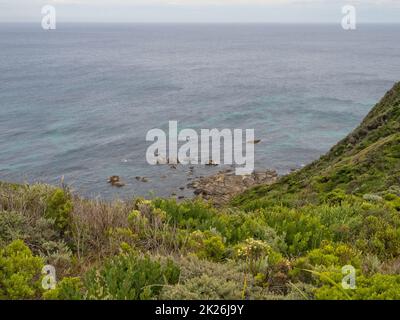 Costa rocciosa - Point Flinders Foto Stock