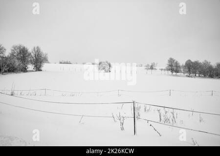 Paesaggio invernale con recinzione, alberi e molta neve Foto Stock