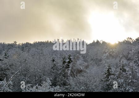 Sole di prima mattina nella foresta con molta neve Foto Stock