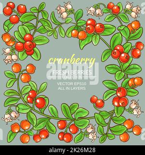 frame vettoriale di mirtillo rosso Foto Stock