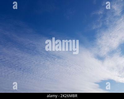 Cielo blu e bianco. Le nuvole sono state spezzate dal vento Foto Stock