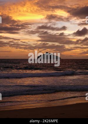 Una vista all'alba da Blinky Beach sull'isola di Lord Howe in Australia Foto Stock