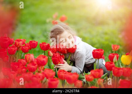 Ragazza carina che raccoglie tulipani rossi nel bouquet in giardino. Foto Stock