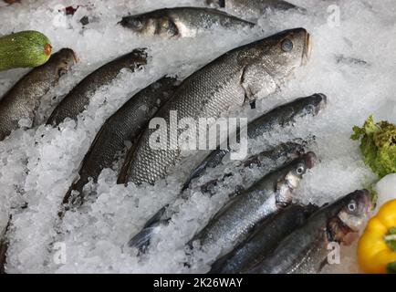 Pesce fresco e pesci giacenti sul ghiaccio nella vetrina. Rethymno sull'isola di Creta Foto Stock