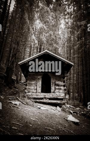 Piccola cabina in legno in una foresta di abeti bui. Bianco e nero Foto Stock