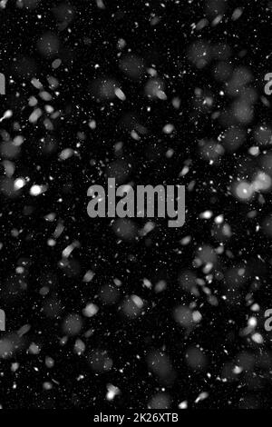 Vera e propria caduta di neve su sfondo nero Foto Stock