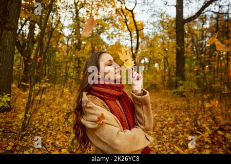 Foglia di acero autunnale a forma di cuore in mano Foto Stock